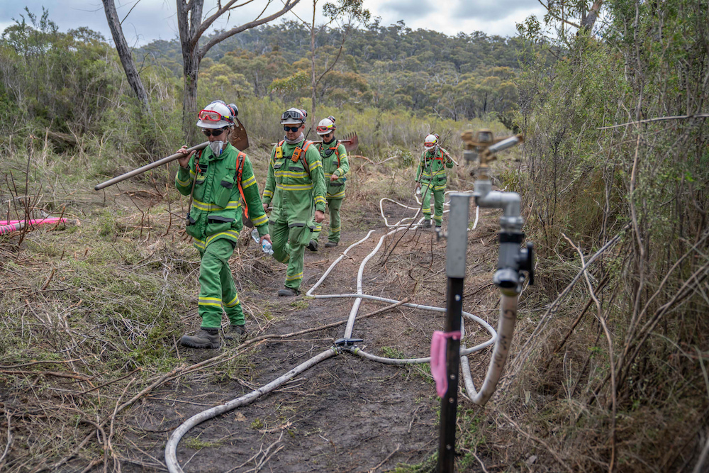 Firefighters carry rakehoes and walk along a hose lay