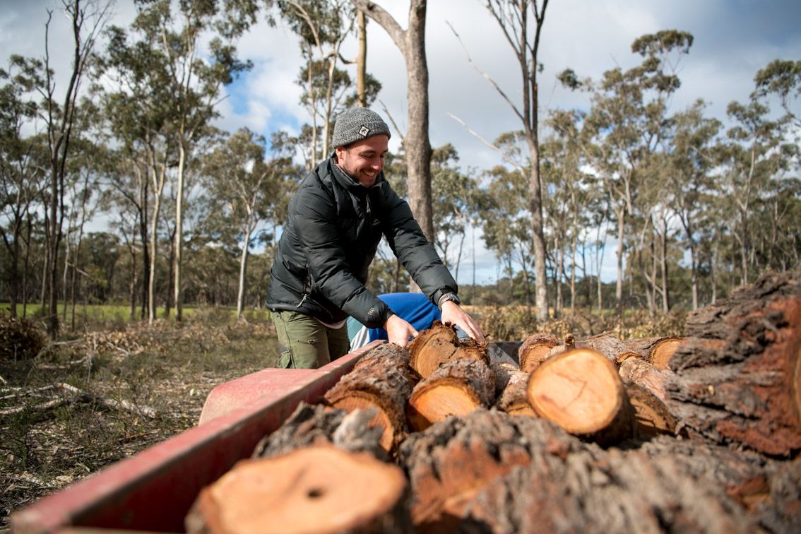 person picking up firewood